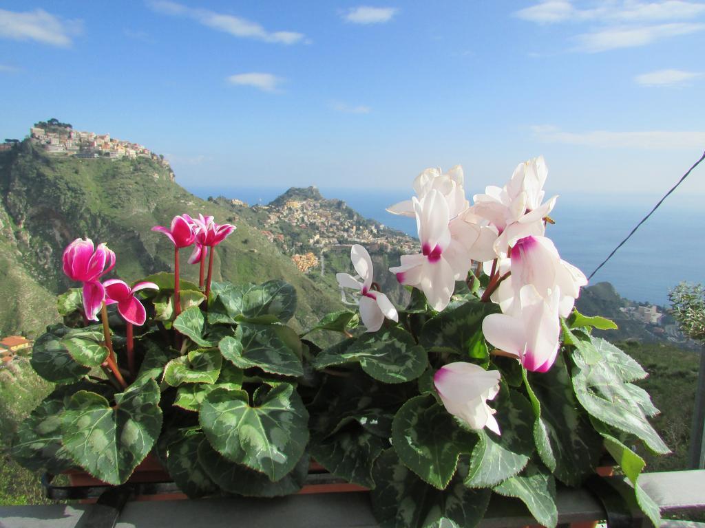 Casale Di Caterina Pensionat Taormina Exteriör bild